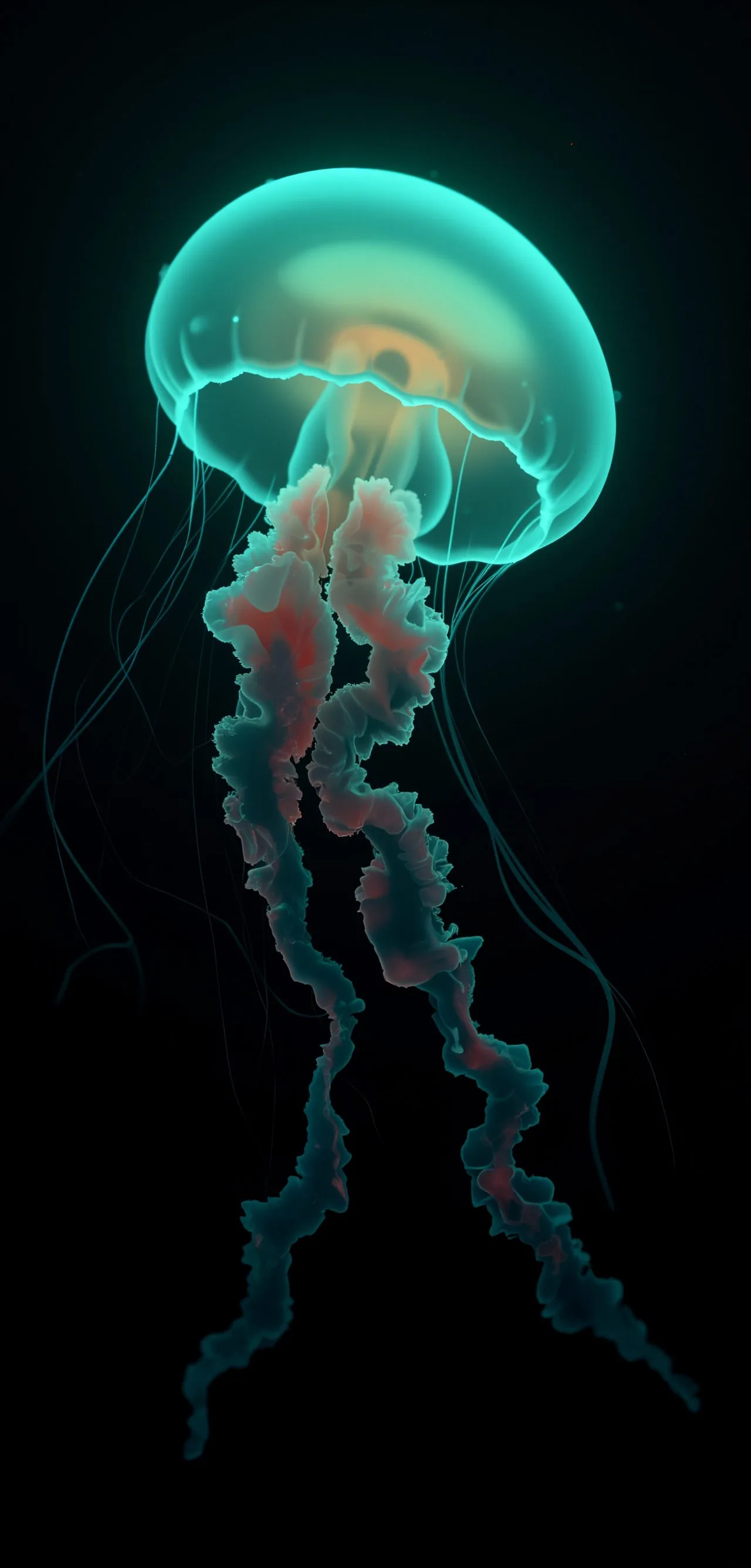 Medusa